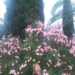 , 52, 
